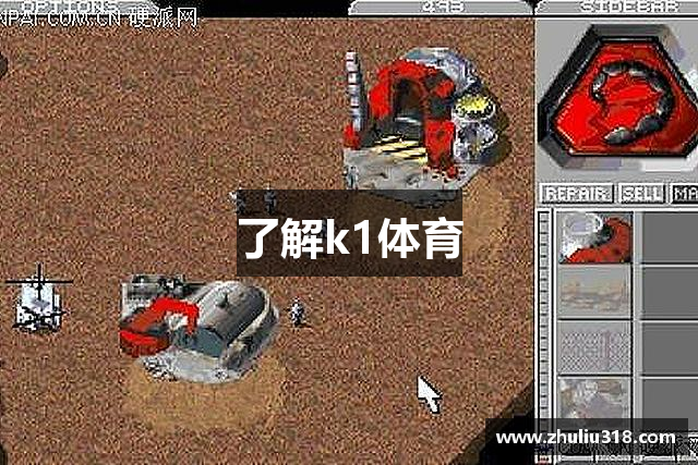 了解k1体育